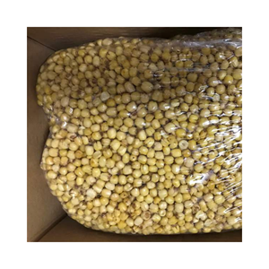 SEMILLAS DE LOTO PREMIUM SABOR DULCE LIGERO VIETNAM VENTA CALIENTE 2024 CON ALTA CALIDAD Y PRECIO COMPETITIVO - Product Image 3