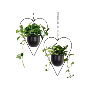 Pots de fleurs suspendus en métal de qualité supérieure pour la maison, l'intérieur et l'extérieur. - Product Image 5