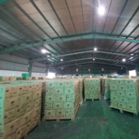 TOP vente haute qualité reine ananas tranche fruits en conserve 580ml en sirop léger direct de l'usine du Vietnam 580ml peut