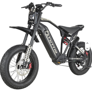 Bicicleta Eléctrica Recién Llegada para Adultos, 60V 4000W Pico, Batería de Litio de 1500Wh, 43-49Mph - Product Image 1
