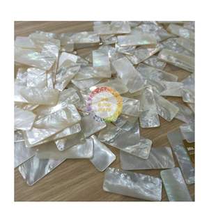 Incrustation de nacre nacre polie vadrouille blanche nacre polie incrustation de coquillage décoration pour bijoux - Product Image 4