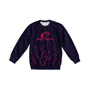 Nueva Llegada de Invierno, Sudadera Personalizada con Bordado, Transpirable, Ecológica, 100% Poliéster, Cuello Redondo, Manga Larga, Ropa Urbana para Hombre - Product Image 1