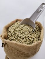 Café spécial du Vietnam, grains de café vert Arabica, taille 16, 100% pur naturel, en vrac pour torréfaction, exportation directe d'usine