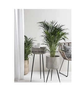 Jardinera de metal de diseño atractivo con soporte de hierro duradero para la colocación de plantas de moda en hogares u oficinas - Product Image 4