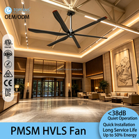 Topfan Großer Aluminium-Deckenventilator mit DC-Motor, 3m/10ft Flügel-Durchmesser, Fernbedienung, CE-Zertifiziert TOPF-10FT, 3 Jahre Garantie