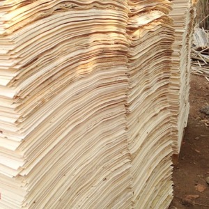 VENTAS ENTERAS DE MADERA PELADA CON ALTA CALIDAD Y MEJOR PRECIO - Product Image 6