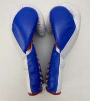Gants de boxe professionnels GYMSTERO en cuir véritable lacés, personnalisables, de haute qualité, 16 oz, pour entraînement et arts martiaux