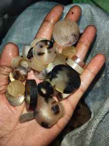 100% botones de cuerno de búfalo de calidad premium - Product Image 6