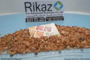 Gomme arabique Talha d'Afrique et gomme de Hashab Arabic Agriculture Produit de qualité supérieure provenant de ressources directes - Product Image 2