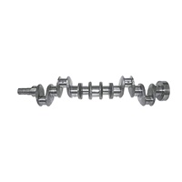 Compatible avec le vilebrequin Massey Ferguson 31322361 31322316 742150M1 U5BG0045 3.152 4.236 Tracteur Diesel OEM