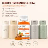 Gommes au curcuma et au gingembre, formule personnalisée, complexe botanique, 60 pièces
