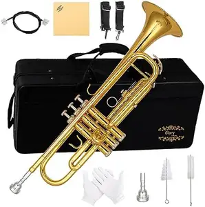 Trompet Bb Glory-trompet untuk pemula atau pelajar tingkat lanjut dengan wadah, sepasang sarung tangan-emas