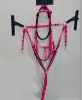 Selle de cheval en cuir d'endurance léger sur arbre en fibre de carbone et étriers en aluminium avec bride en PVC, circonférence, tapis de selle