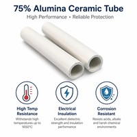 Tubo de Cerámica de Alúmina al 75%, DE 10 mm, DI 7 mm, 100 mm, Tubo de Protección para Termopar, Aislamiento de Alta Temperatura