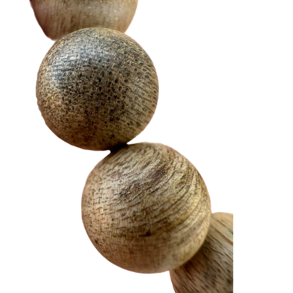 ธรรมชาติ