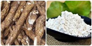 VEGAN FRIENDLY KUDZU RAÍZ EN POLVO PARA APOYO DIGESTIVO CUIDADO INMUNE Y NUTRICIÓN BOTÁNICA LIMPIA - Product Image 4