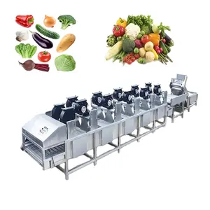 Industrial Conveyor Belt Papaya Clean Bubble Washer Leaf Vegetable And Fruit Wash Machine