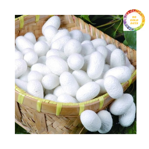 Premium <b>Silk</b> <b>Cotton</b> Cocoon for Skincare Rituals and Export - Product Image 2