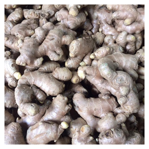 ขิงสดที่เก็บเกี่ยวจากฟาร์มของเวียดนามมีรสชาติเข้มข้นและบรรจุอย่างระมัดระวังเพื่อจัดส่งระหว่างประเทศ - Product Image 2