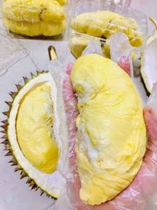 Durian glacé à prix compétitif avec graines Ms sofia - Product Image 3