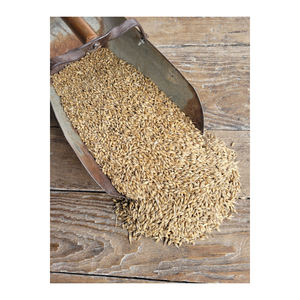 Cebada para alimentación animal/Cebada a granel Cebada malteada/Trigo duro Cebada al por mayor - Product Image 5