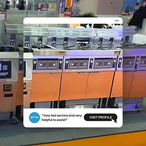 <span class=keywords><strong>Restaurante</strong></span> de comida rápida Filtro de aceite para freír Diseño que ahorra trabajo Piezas de acero inoxidable Aceite eficiente Astra Freidora profunda Doble - Product Image 6