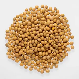 Nicht gentechnisch veränderte Sojabohnen von guter Qualität Rohes Sojabohnen korn in Beuteln Bio-Sojabohnen samen