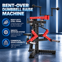 Machine de musculation pour les deltoides arrière, type suspension de plaques de poids, pour exercices de levée des haltères en position accroupie, vente en gros usine BN Chine