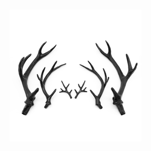 Red Deer Antlers en venta - Product Image 6