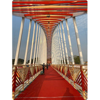 Sistemas de suspensión de cable de acero soldado para puentes de estructura múltiple de alta resistencia, diseño y construcción de arcos y truss en Rajim, Raipur