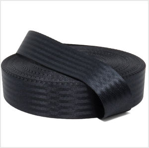 High Tensile Custom Size Color Polyester Webbing - Product Image 6