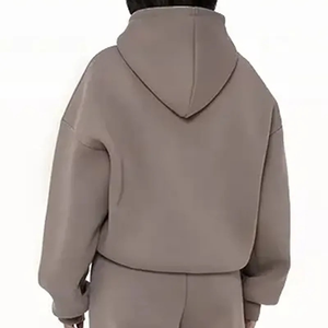 เสื้อสเวตเตอร์2025คอปกเปล่าผ้าฟลีซโอเวอร์ไซส์เสื้อสเวตเชิ้ต400นูนมีฮู้ดโลโก้ออกแบบได้ตามต้องการสำหรับทุกเพศ - Product Image 3