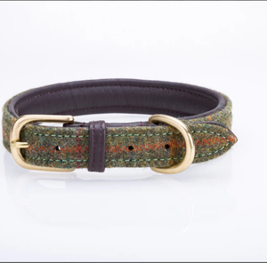 Collier de chien en cuir vert de haute qualité pour lévrier et Whippet - Product Image 1