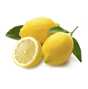 Limones Frescos Eureka Orgánicos al por Mayor, Origen Portugal, Tamaño 3-4cm - Product Image 3