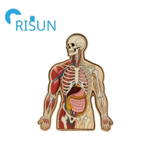 Metal biología anatomía Pin broche <span class=keywords><strong>Vitruvian</strong></span> hombre insignia solapa Pin esmalte broche Pins Da Vinci <span class=keywords><strong>Vitruvian</strong></span> hombre arte insignia regalo - Product Image 6