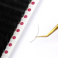 Extensions de cils individuels en vison, vente en gros, faux cils en vison, PBT coréen de qualité supérieure, haute qualité, courbure BC, marque privée