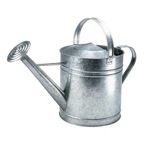 Fabricant et exportateur d'arrosoir en métal fait à la main de conception personnalisée Fournisseur d'arrosoir artisanal de nouvelle conception - Product Image 2