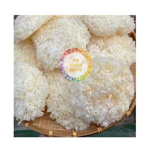 Tremella blanche séchée asiatique nutritive, instantanée, pour la cuisine, soupe, tremella de qualité supérieure, vente chaude 2026 - Product Image 3