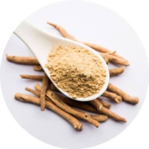 Polvo de Ashwagandha orgánico a granel, extracto de raíz de Withania Somnifera, etiqueta privada OEM disponible envasada al vacío - Product Image 4