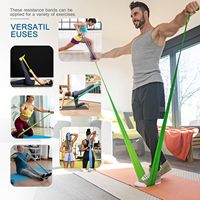 Ensemble de 5 bandes de résistance en TPE sans latex, écologiques et durables, pour la thérapie physique, le yoga, le Pilates et la rééducation
