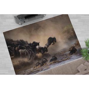 Alfombra de Animales de Safari: Impresa en 3D, Antideslizante, Lavable a Máquina, Alfombra Delgada No Tejida - Product Image 1