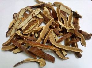 Hongo Reishi seco de alta calidad (Lingzhi) Precio competitivo de Vietnam - Product Image 6