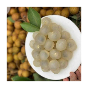 Morceaux de longanes congelés IQF Qualité d'exportation Vietnam Goût doux et parfumé Idéal pour les jus Aliments sains et applications végétaliennes - Product Image 1