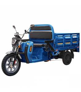 Electric Cargo <b>Tricycle</b> Open Body 200-300kg Payload Capacity 1 Passenger Blue Color 80km/h 70-90km Range - Product Image 1