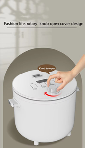 Cuisinière à riz électrique miniature de 2 L, faible teneur en <span class=keywords><strong>sucre</strong></span>, avec commande à bouton de 400 W - Product Image 4