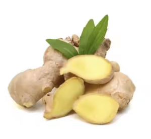 Vente en gros de gingembre frais d'éléphant de Thaïlande - Product Image 4