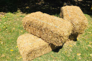 Granulés de foin de luzerne naturelle pour l'alimentation animale vente en gros à haute valeur nutritive - Product Image 3