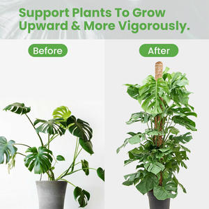 Stock US, livraison rapide ! Lot de 2 poteaux en mousse écologiques carrés de 39,3 pouces pour la maison et le jardin - Support pour plantes grimpantes - Product Image 3