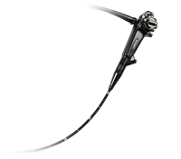 Best-seller gastroscope vétérinaire HD léger portable série GF pour diagnostic et traitement des grands animaux équins