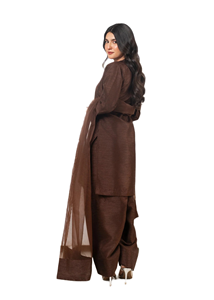 Elegantes chicas reales Shalwar Kameez | Largo | Diseño étnico moderno | Ropa de fiesta paquistaní de alta calidad - Product Image 4